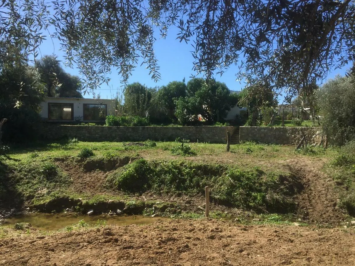 Nualuz Villa Barbate Holiday home